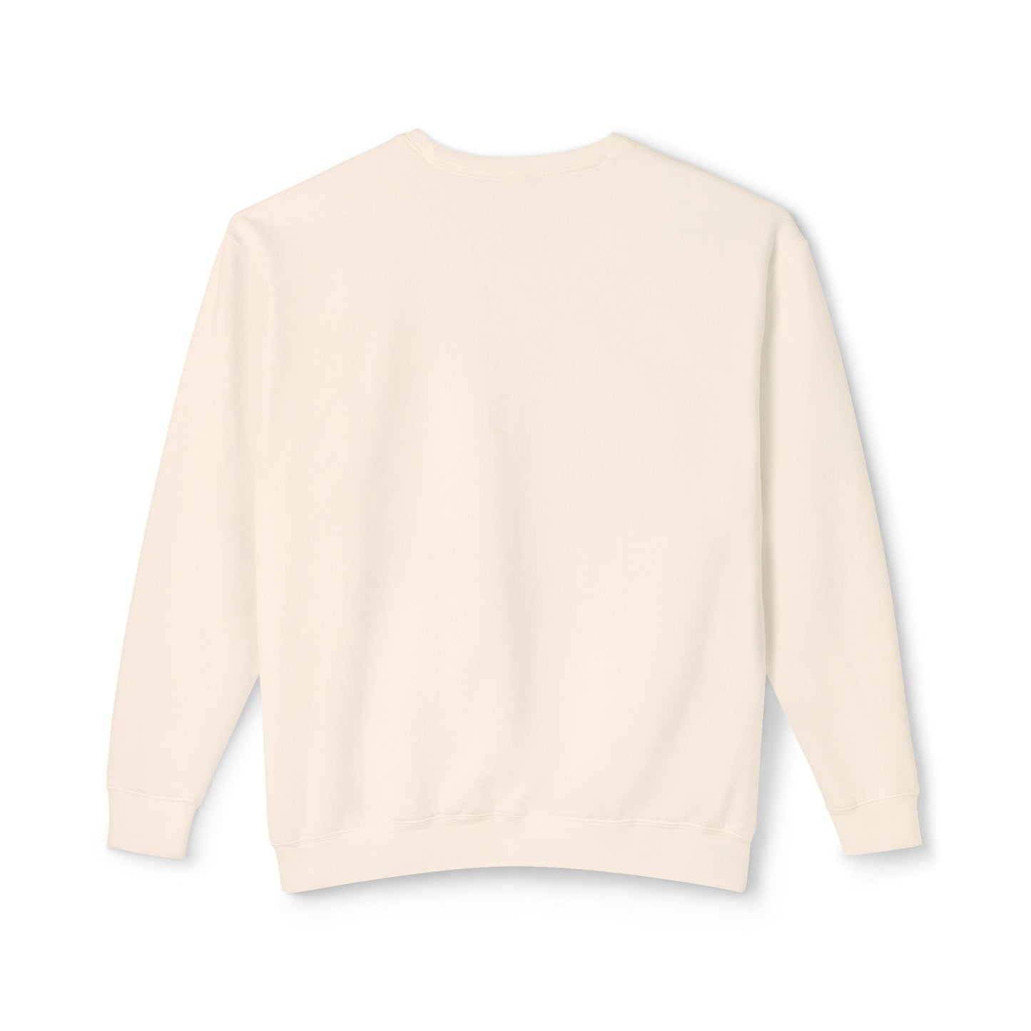 Defying Gravity comfort Colors sweatshirt